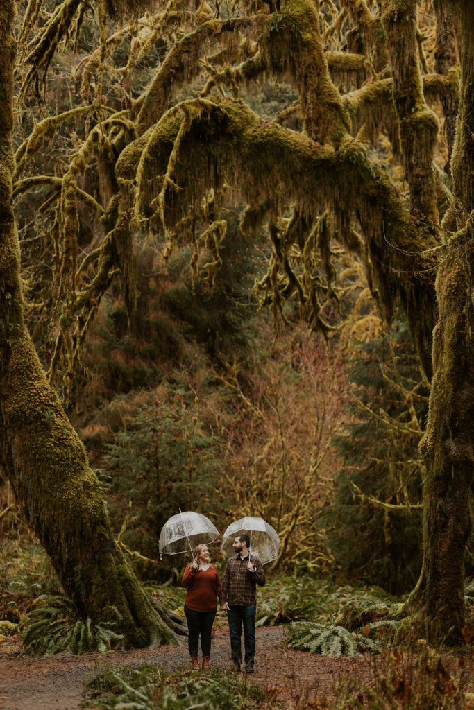 Olympic National Park Hoh Rain Forest Engagement